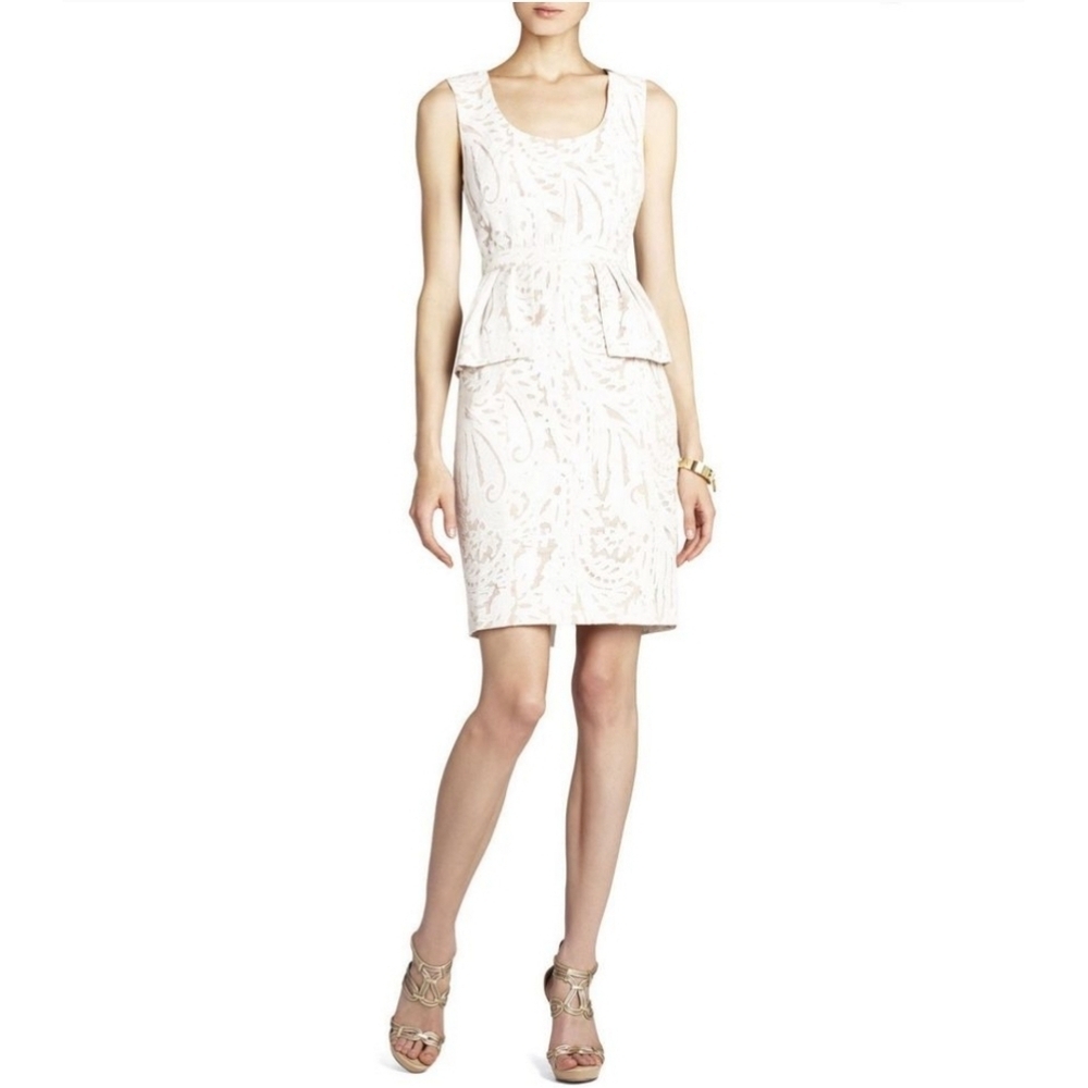Bcbgmaxazria Etna dress size 10P NEW